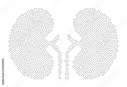Kidney circuit board. kidney Abstract technology. Artificial intelligence in kidney shape isolated on Blue background.  CPU Organ Circuit board.
