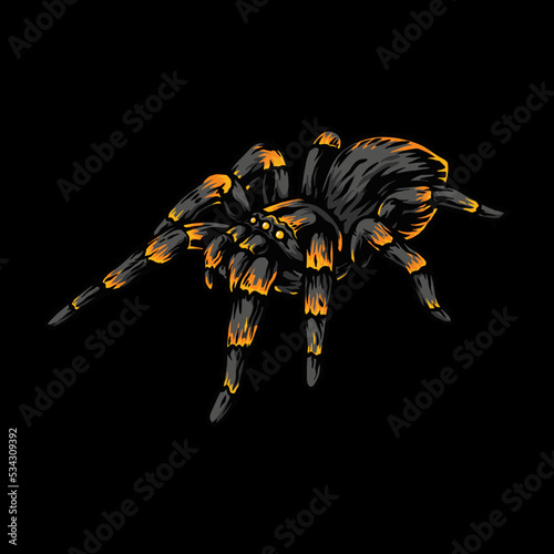 Tarantula vector illustration