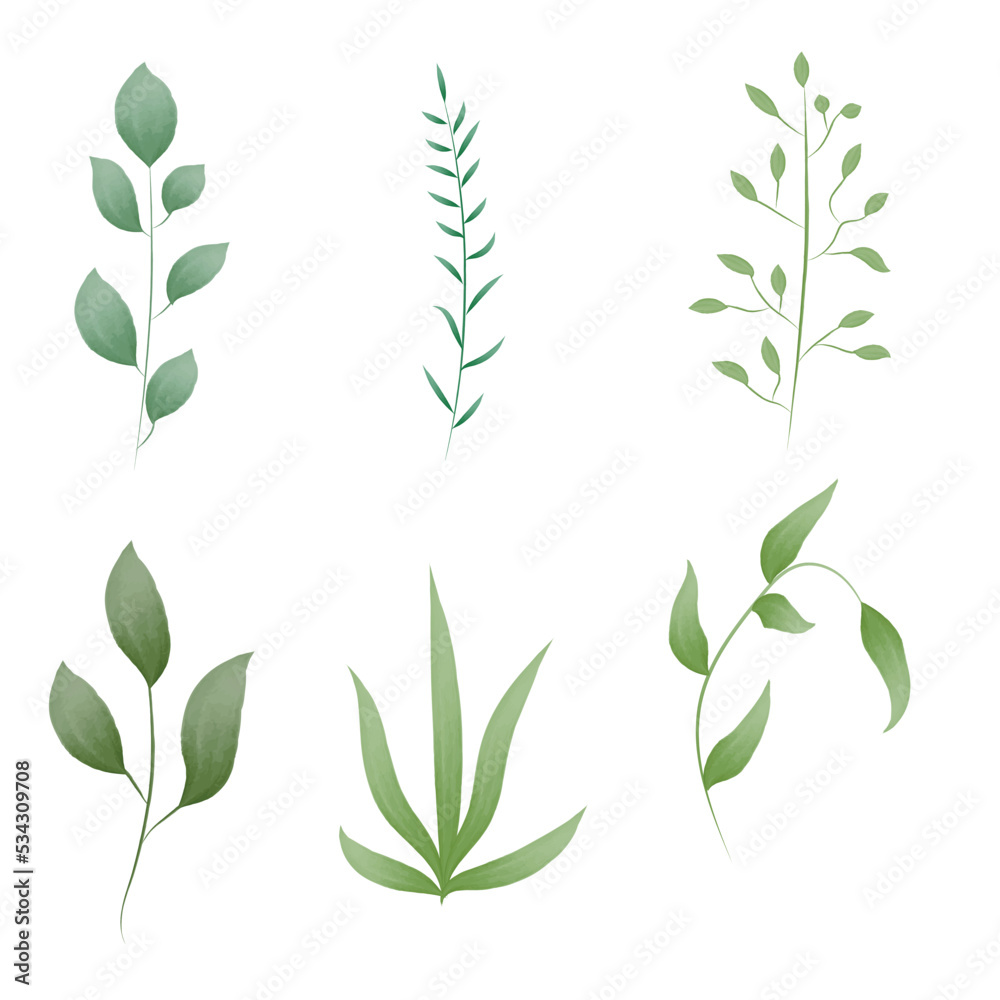 Obraz premium Watercolor leaves. Aquarelle set. Vector illustration