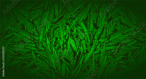 Green Leaf Cannabis marijuana ganja weed Background