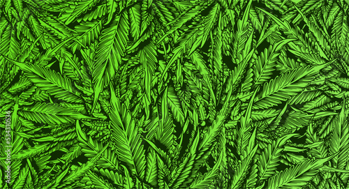 Green Leaf Cannabis marijuana ganja weed Background