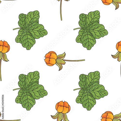 vector graphic seamles pattern with rubus chamaemorus