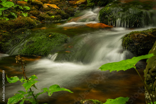 Svatopetrsky creek near Spindleruv Mlyn town in Krkonose mountains