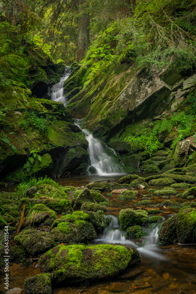 Javori creek in Krkonose national park in summer morning Javori creek in Krkonose national park in summer morning