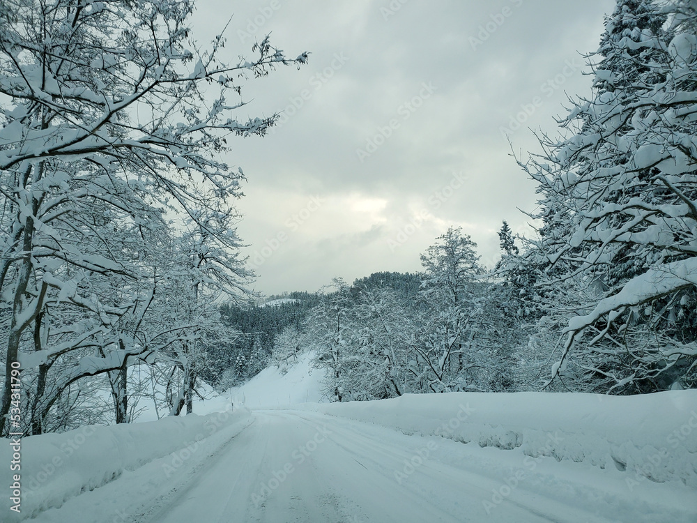 Obraz premium 一面雪に覆われた山道