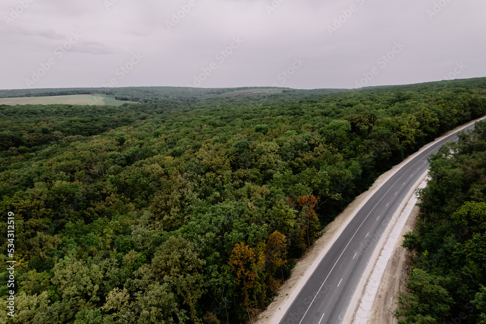 Aerial top view of the empty road between green and yellow trees. Drone shot of a green forest.	
