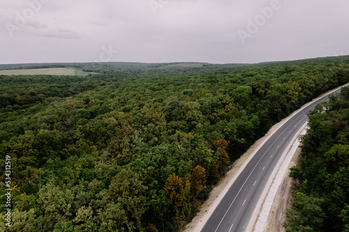 Aerial top view of the empty road between green and yellow trees. Drone shot of a green forest. 