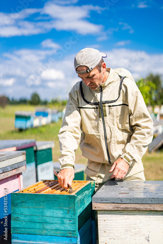 Professional bekeeper working with beehives. Handsome apiarist farming sweet honey.