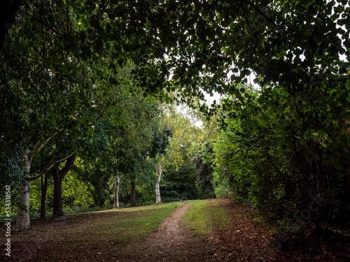 In The Park