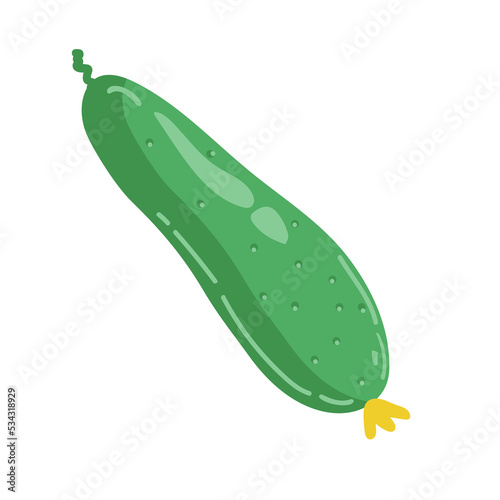 Vector illustration of cucumber isolated on white background. Green pickled cucumber.