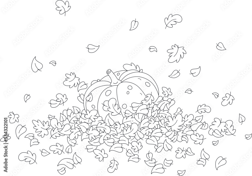 Large ripe pumpkin lying in a pile of fallen and swirling autumn leaves in a vegetable garden, black and white outline vector cartoon illustration for a coloring book page