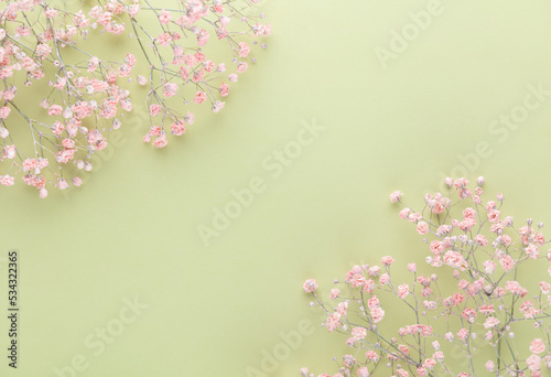 Beautiful flower background of pink gypsophila flowers. Flat lay, top view. Floral pattern.