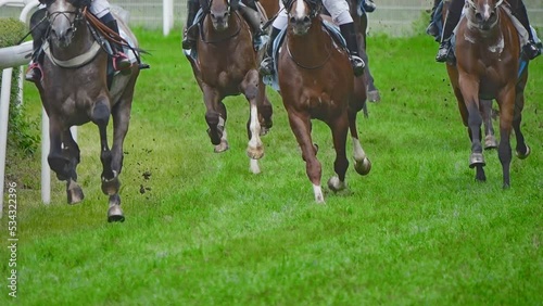 Wallpaper Mural Horse racing, hooves scatter grass during the race. Recorded in slow motion. Torontodigital.ca