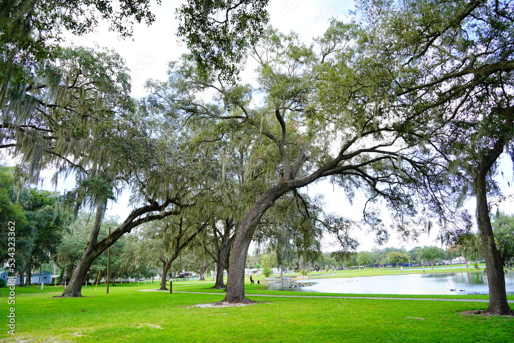Lake zephyr in Zephyrhills town of Florida. Zephyrhills is a city in Pasco County, Florida, United States. Lake zephyr in Zephyrhills town of Florida. Zephyrhills is a city in Pasco County, Florida, United States.