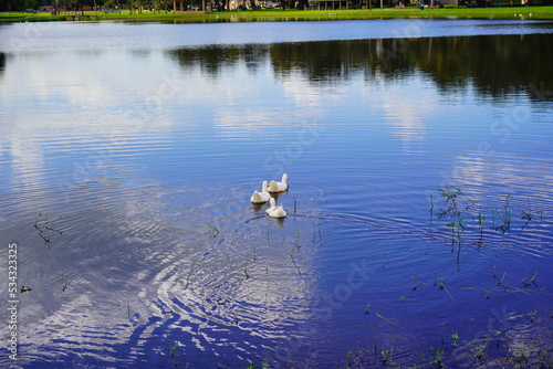A beautiful community pond or lake