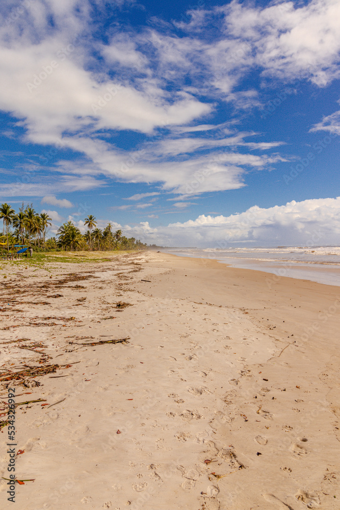 natural landscape in the city of Canavieiras, State of Bahia, Brazil natural landscape in the city of Canavieiras, State of Bahia, Brazil