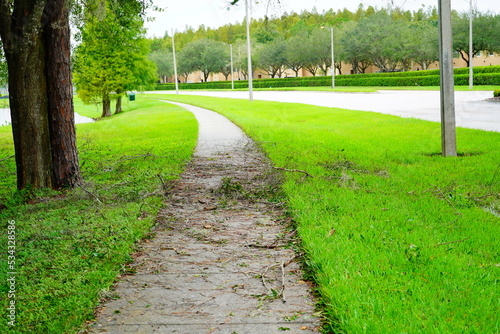 Φωτογραφία Fallen tree branch in the aftermath of a violent disaster hurricane