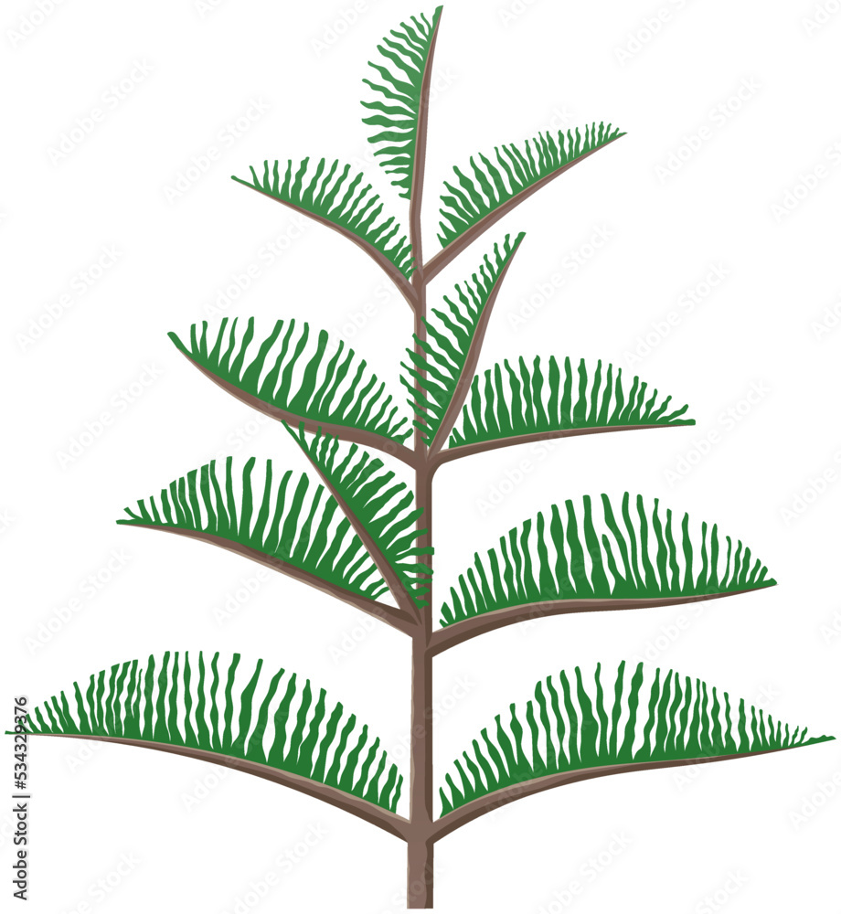 Cartoon pine tree on white background. Coniferous forest plant. Green ...