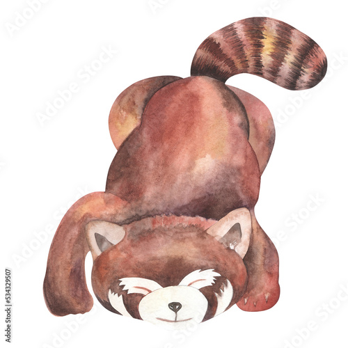 Cute red panda nursery watercolor illustration. Baby sleeping. photo