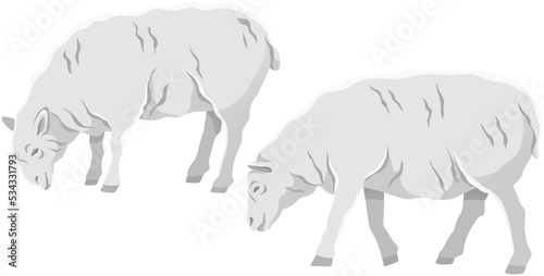 White ship, domestic farm animal. Lamb with wool, ruminant mammal vector illustration. Farming, animal husbandry and livestock breeding. Domesticated farm sheep for meat and wool production