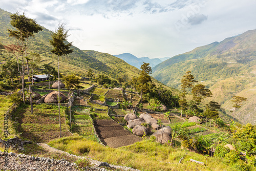 Traditional Dani tribe village with round houses (called Honai) and taro (root vegetable) fields, Baliem Valley, West Papua, Indonesia