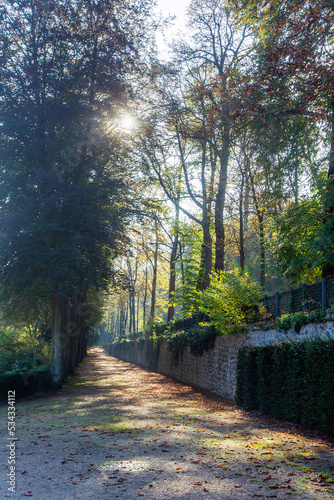 Lovely view of the garden of the national domain Saint-Cloud with a fantastic autumn   park in Paris photo