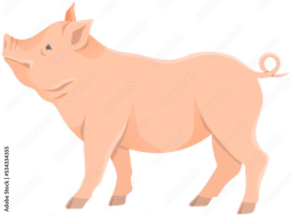 Pink pig, domestic farm animal. Piggy or swine, artiodactyl mammal vector illustration. Farming, agriculture and livestock breeding. Domesticated animal, farm pig for meat and fat production