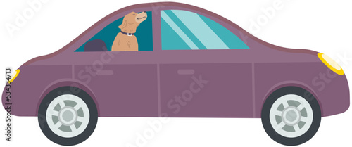 Fototapeta Naklejka Na Ścianę i Meble -  Cute dog sitting and smiling in car. Shorthair home doggy, pet, domestic animal in back seat of auto vector illustration. Pet friend with collar traveling on transport. Caring for animals concept