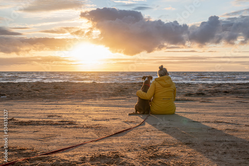 a german boxer dog sitting on the seashore during sunset with owner blonde girl team partner friend sweden melbystrand