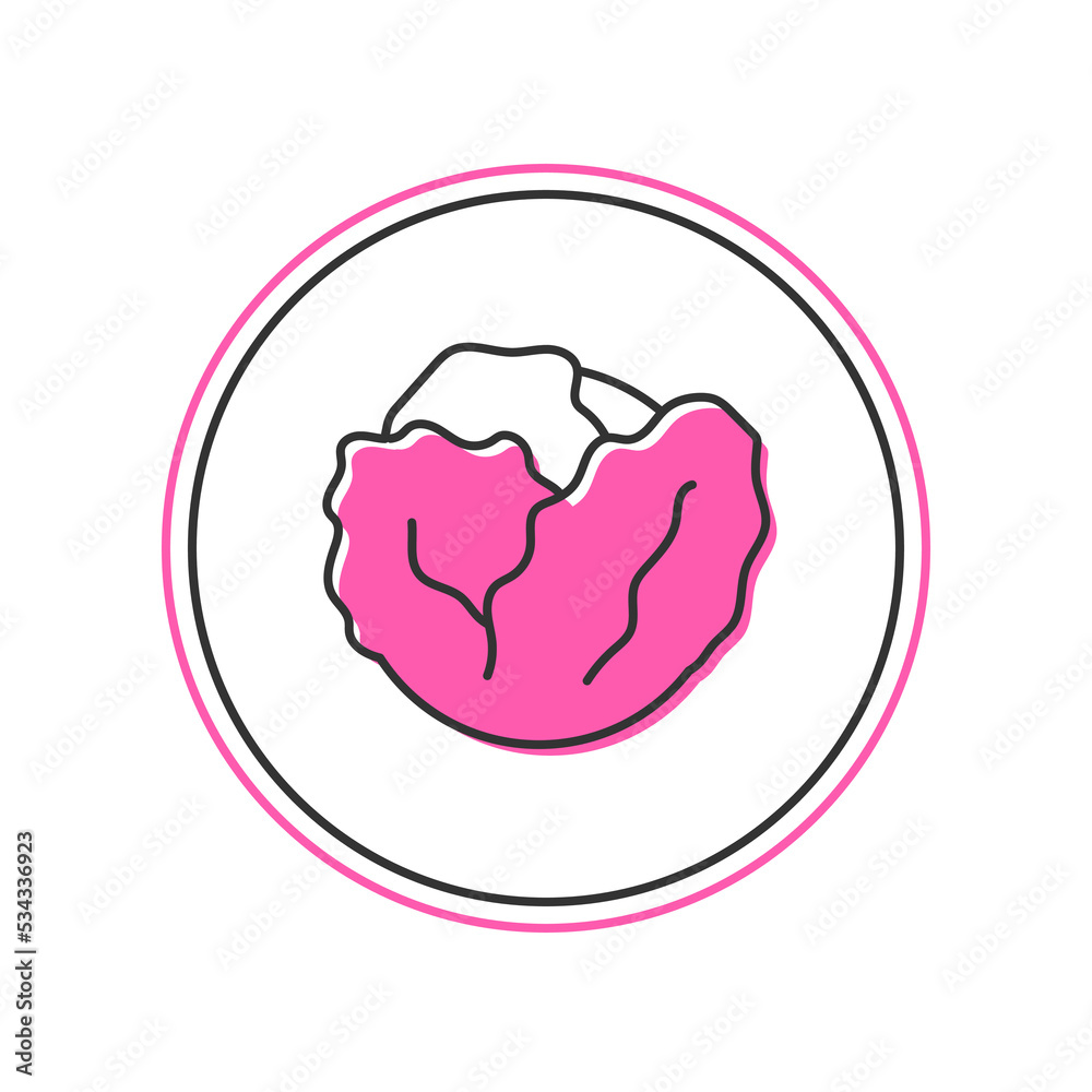Filled outline Fresh cabbage vegetable icon isolated on white background. Vector Filled outline Fresh cabbage vegetable icon isolated on white background. Vector