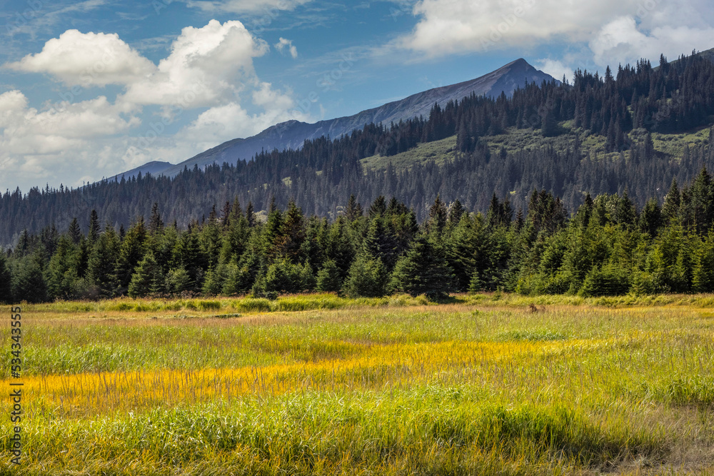 Meadow and mountains at Silver Salmon Creek, Lake Clark National Park and Preserve, Alaska