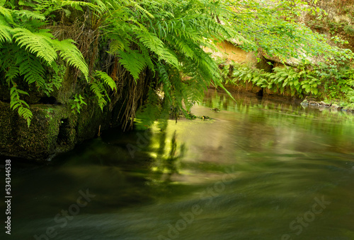 waterfall in the forest