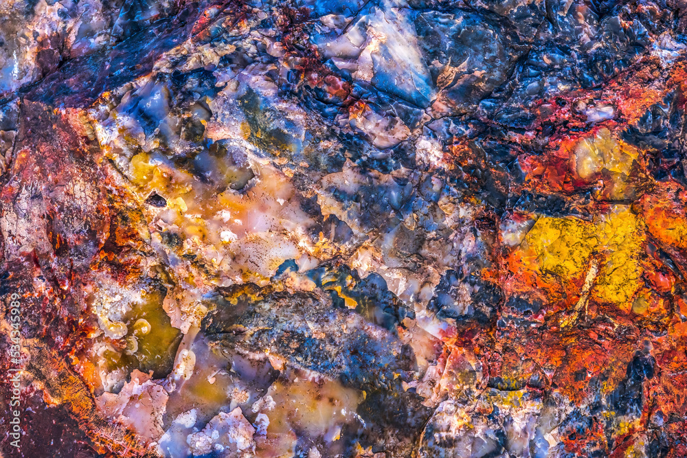 Petrified wood log, Crystal Forest, Petrified Forest National Park, Arizona.