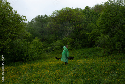 a woman in a green raincoat walks in a field with two black dogs in cloudy weather