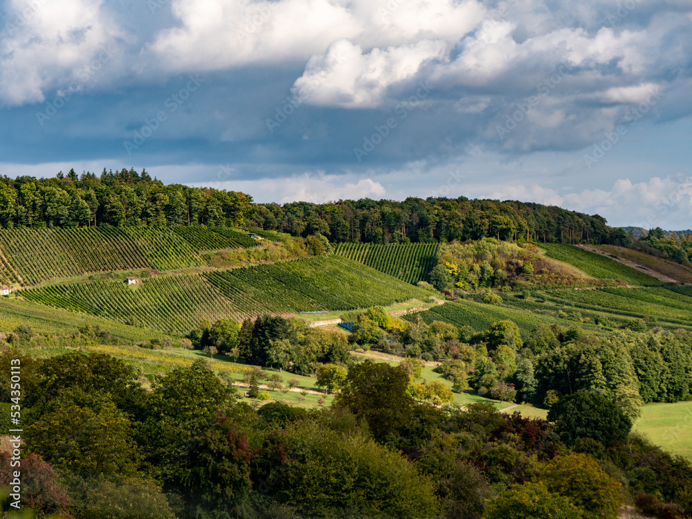 Weinberge im Herbst Weinberge im Herbst