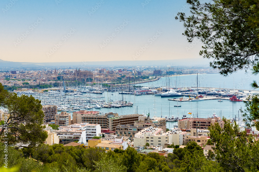 Panoramic skyline view of Palma Mallorca marina with yachts. Viewed in the background is La Seu Cathedral.