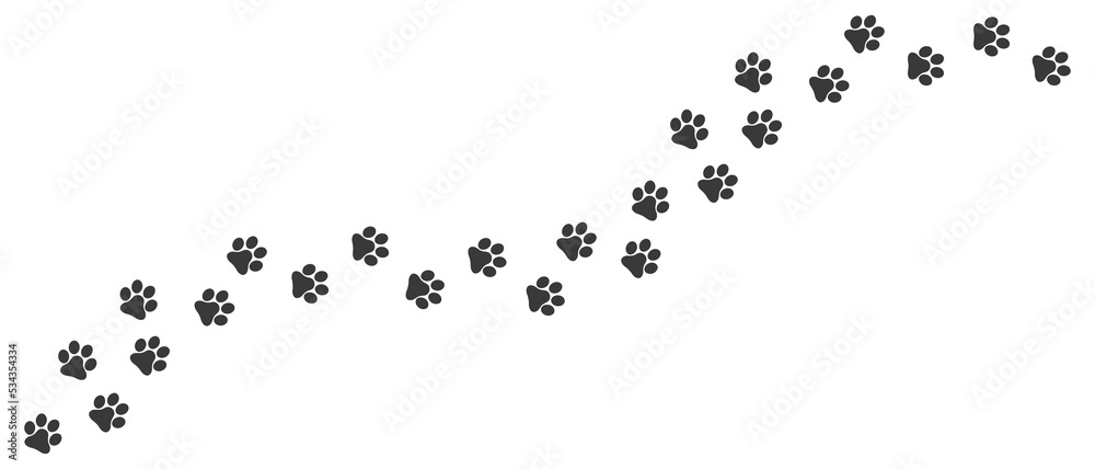 Dog paws vector trail. Foot print of cat. Animal diagonal track for t-shirt, background, pattern, child prints