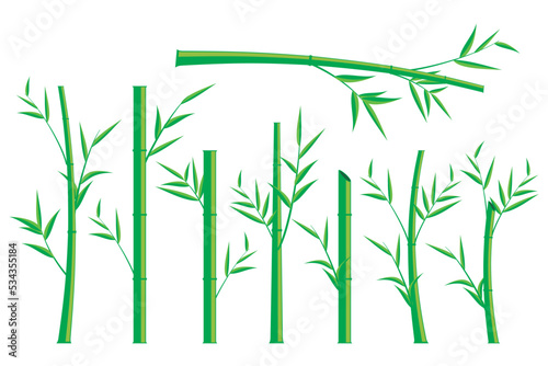 Vector bamboo tree. Illustration of a bamboo tree on a white background. isolated bamboo tree