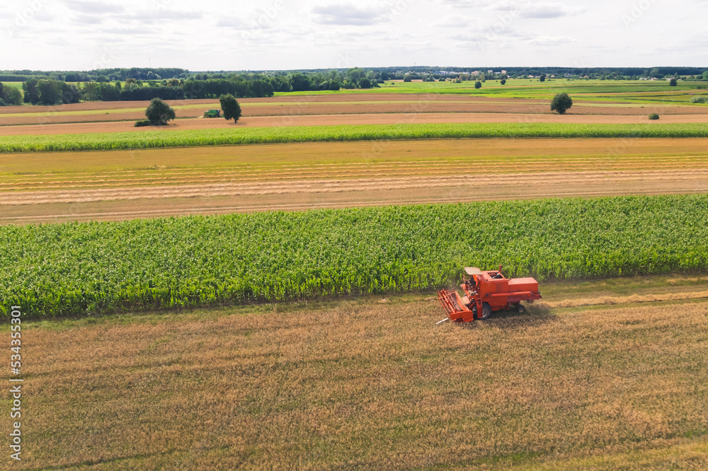 Bird's eye perspective of agricultural field full of green crops. One red farm machine - combine harvester - working on rapeseed crops. High quality photo Bird's eye perspective of agricultural field full of green crops. One red farm machine - combine harvester - working on rapeseed crops. High quality photo