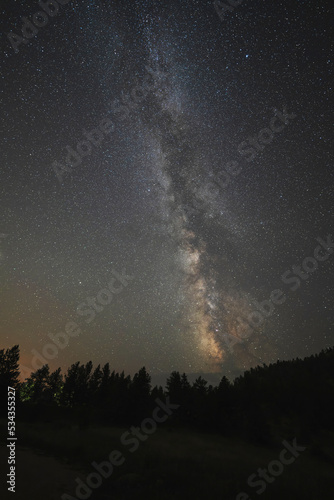USA, Colorado, Eleven Mile Canyon. The Milky Way galaxy and forest silhouette at night.