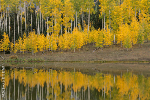 USA, Colorado, Uncompahgre National Forest. Autumn-colored aspens reflect in lake.