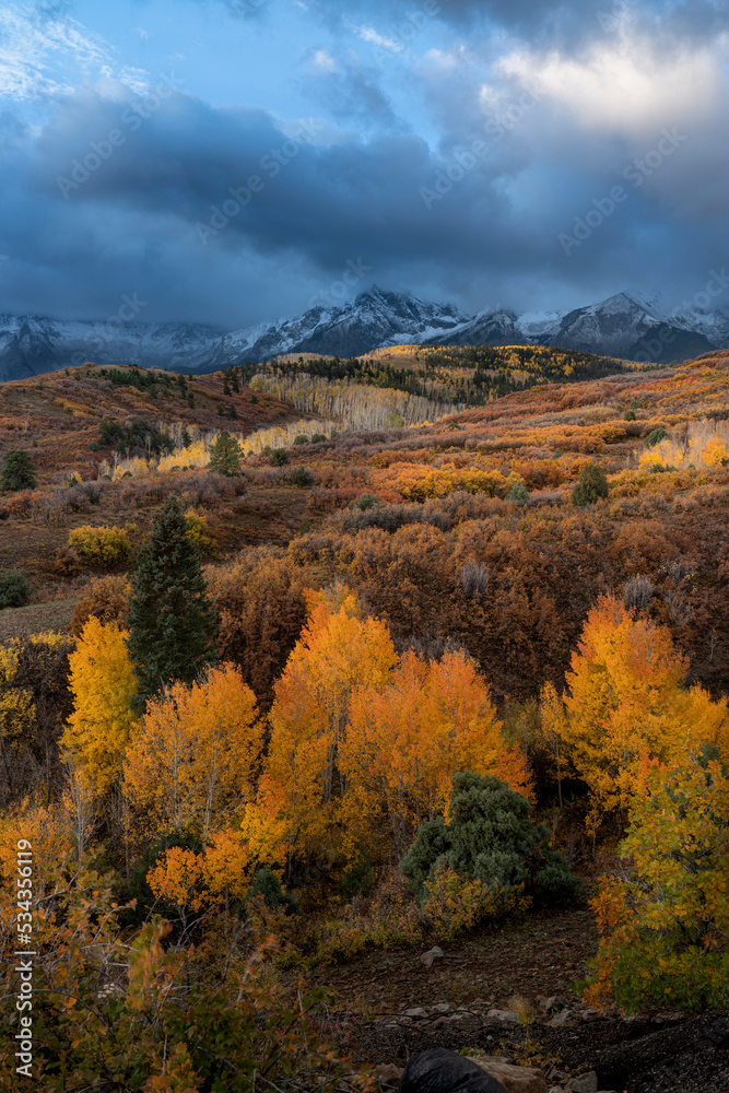USA, Colorado, Uncompahgre National Forest. Autumn forest and Sneffels Range.