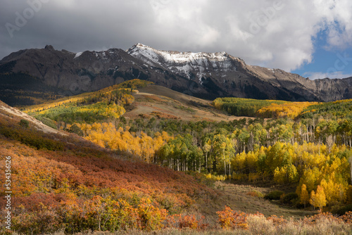 USA, Colorado, Uncompahgre National Forest. Autumn forest and Sneffels Range. photo