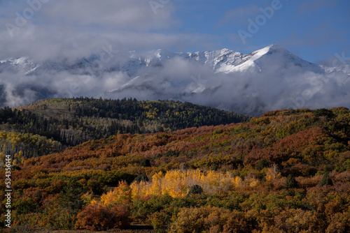 USA, Colorado, Uncompahgre National Forest. Autumn forest and Sneffels Range. photo