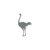 Ostrich icon logo design illustration