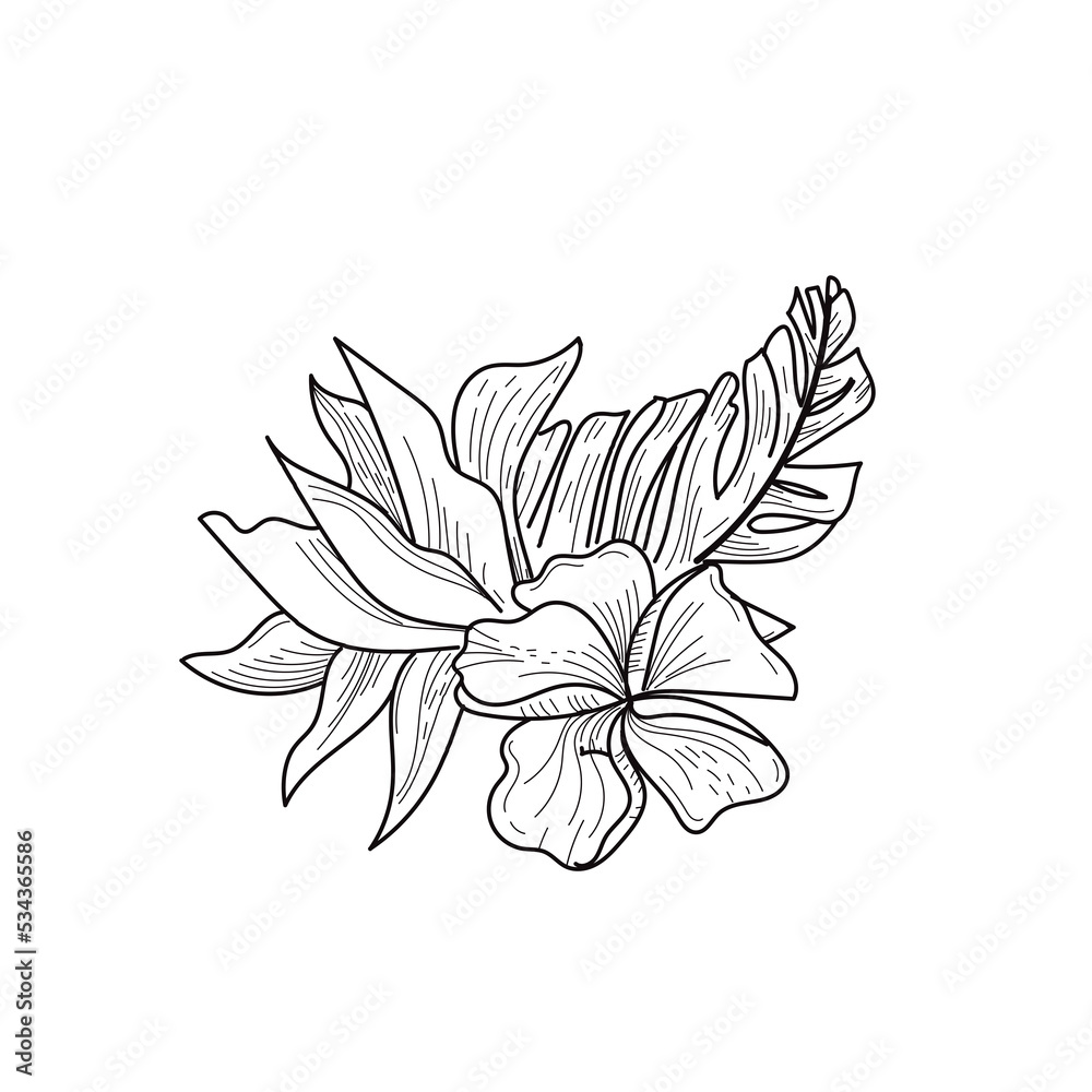 Fototapeta premium flower leaf line art for wedding template