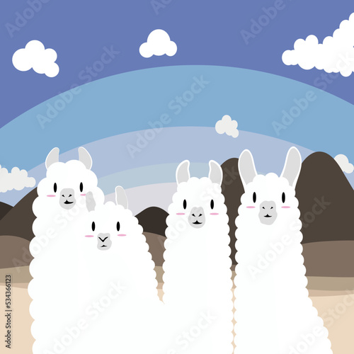 cute little llamas