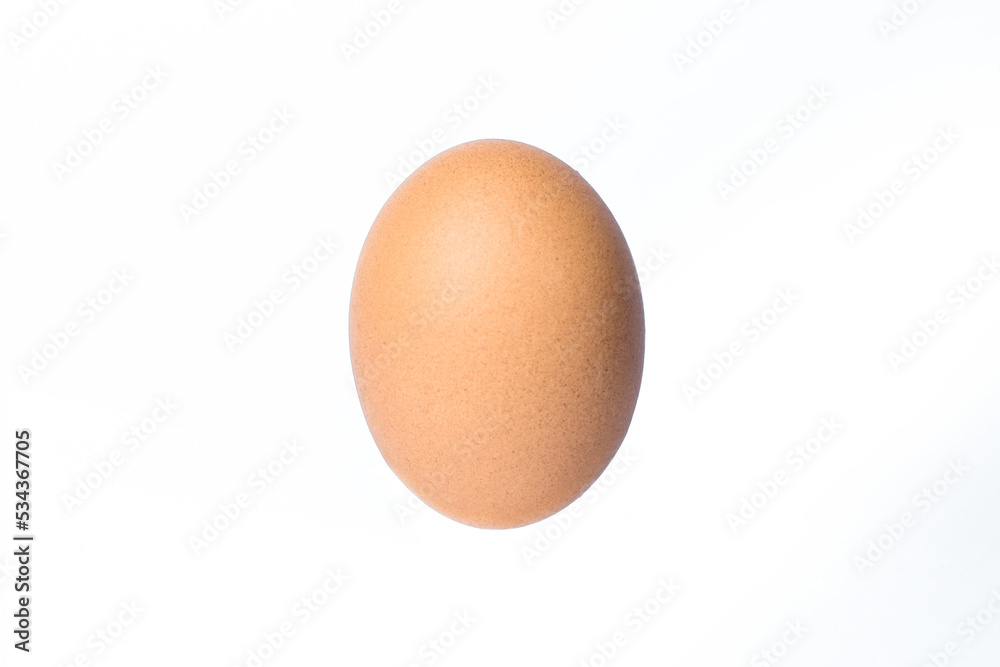 one chicken eggs on white background one chicken eggs on white background