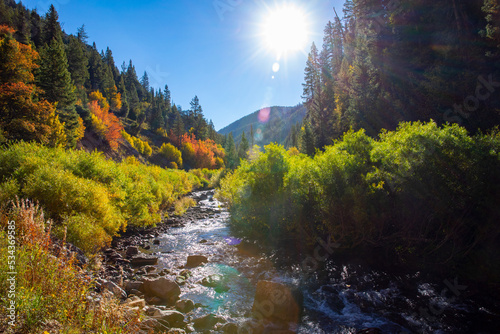 mountain river in autumn