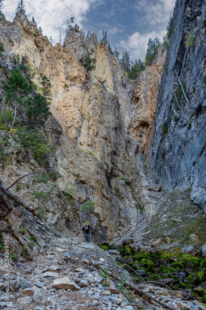 Obraz premium mountain river in the mountains